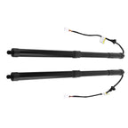2X Rear Tailgate Lift Support Struts for Lexus RX350 RX450h (2016-2019)