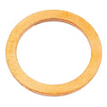 Injector Washer for C5NE9E529A (1990–1995)