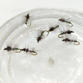 5 Pack Stonefly Dry Fly Lures WY1090 for Trout