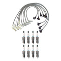 Denso 8mm Wire Set & 8 Iridium TT Spark Plugs Kit for Ford Mercury 5.0L V8