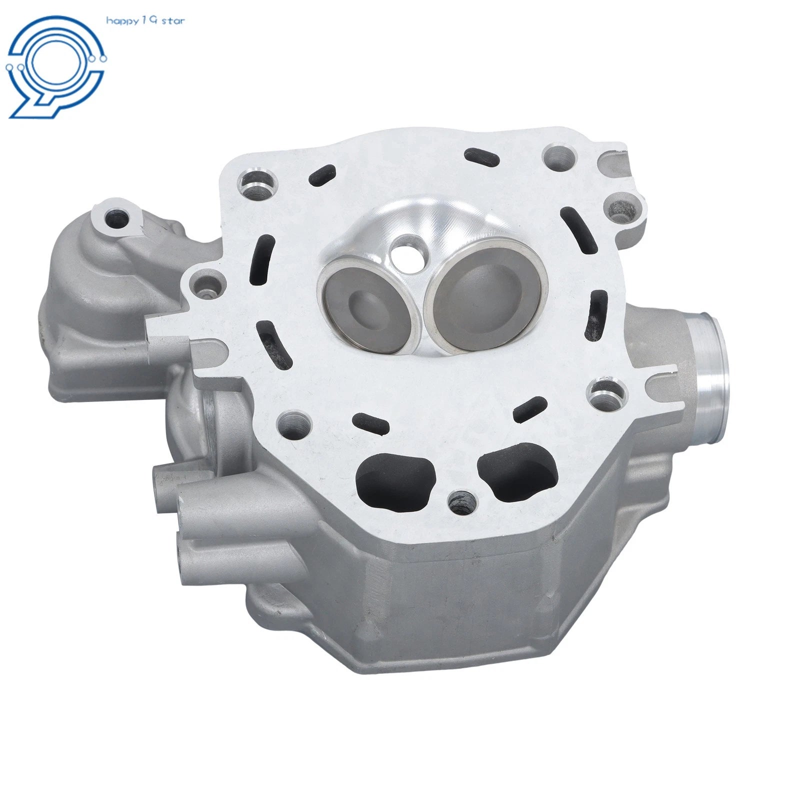 Rebuild Kit Cylinder Head for Honda SXS500M (2009–2024)