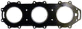 WSM Gasket for
