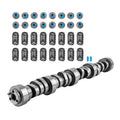 Camshaft Assembly with Springs & Seals for LS 4.8L 5.3L 5.7L 6.0L 6.2L (2000–2023)