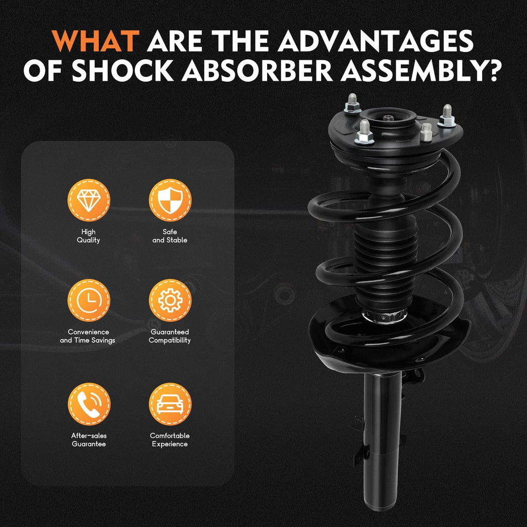 Pair Front Strut & Coil Spring Assembly for Honda Accord (2013-2017)
