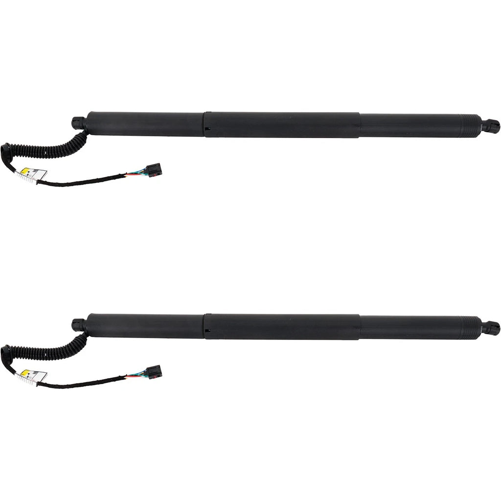 Set of 2 Liftgate Lift Supports for VW (Driver & Passenger Side)