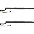 Set of 2 Liftgate Lift Supports for VW (Driver & Passenger Side)