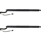 Set of 2 Liftgate Lift Supports for VW (Driver & Passenger Side)