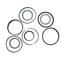 Hydraulic Cylinder Seal Kit for Case (234844A1)