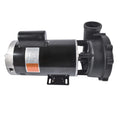 2X Two-Speed Electric Pool Pumps for Swimming Pools (230V) 3722021-1D