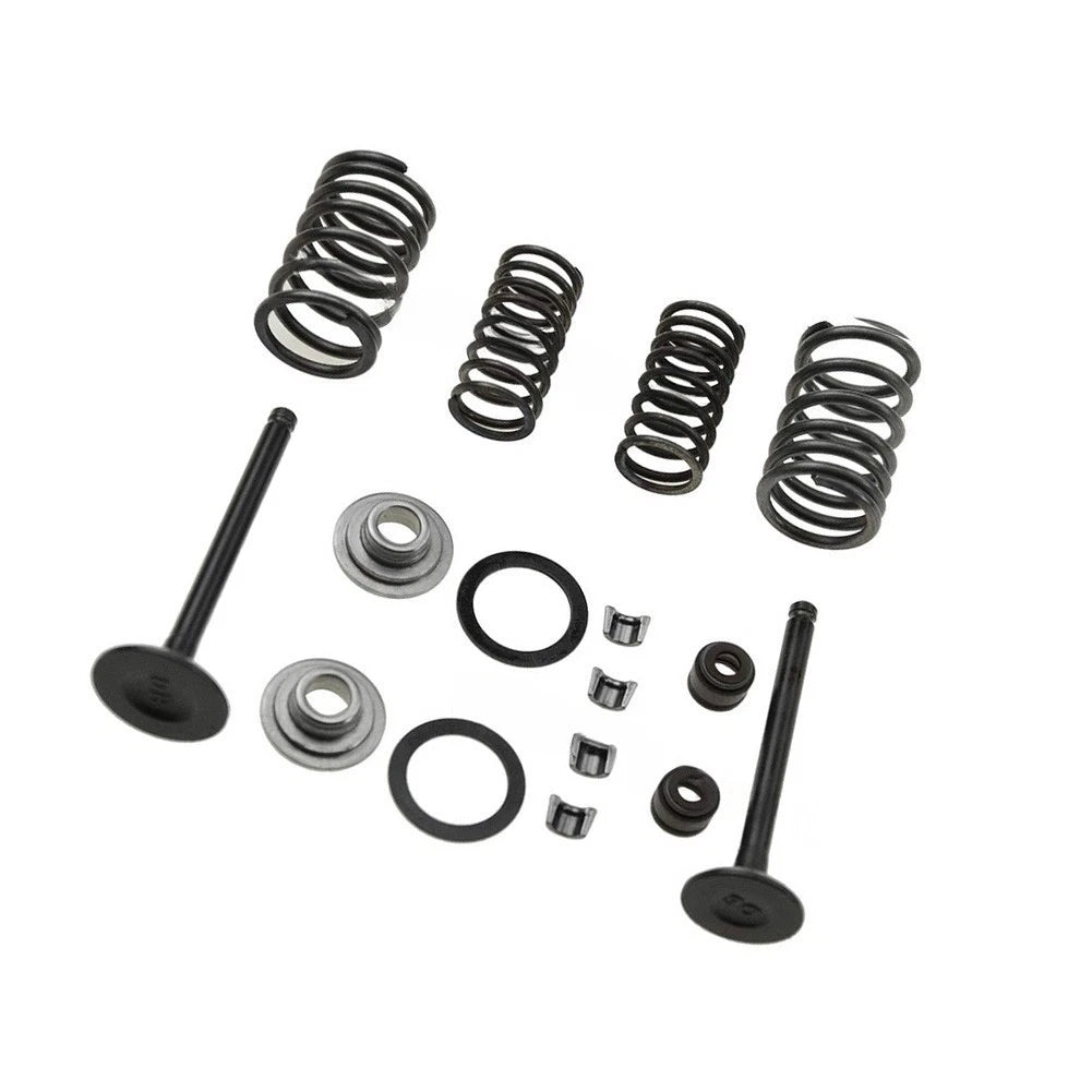 Cylinder Valve Rebuild Set for Sunl Taotao 70cc 90cc 110cc Engines