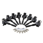 Set of 8 Ignition Coils & 8 Iridium Spark Plugs for BMW Chevy Honda