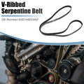 V-Ribbed Serpentine Drive Belt for Toyota Corolla (2003–2008) No. 03D145933AD