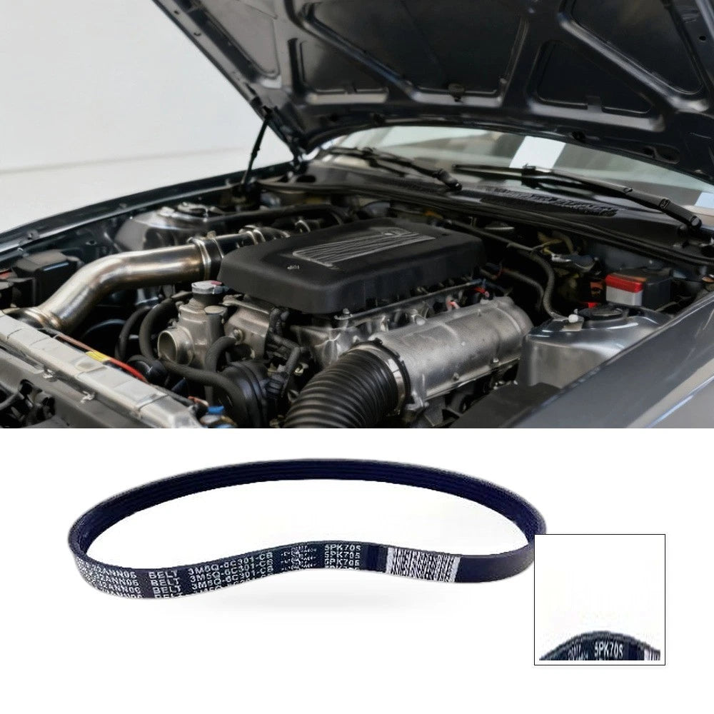 Fan Belt for Ford Focus Fiesta 1.6L 2.0L (2000–2023) 3M5Q-6C301CB