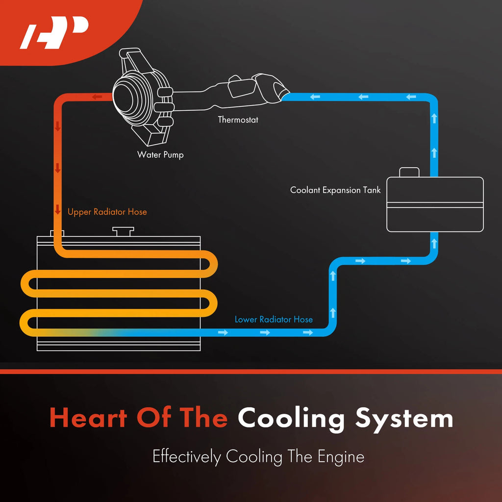 Radiator Hose for BMW X5 X6 (2010–2017) V8 4.4L