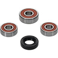 Pivot Works Premium Wheel Bearing for