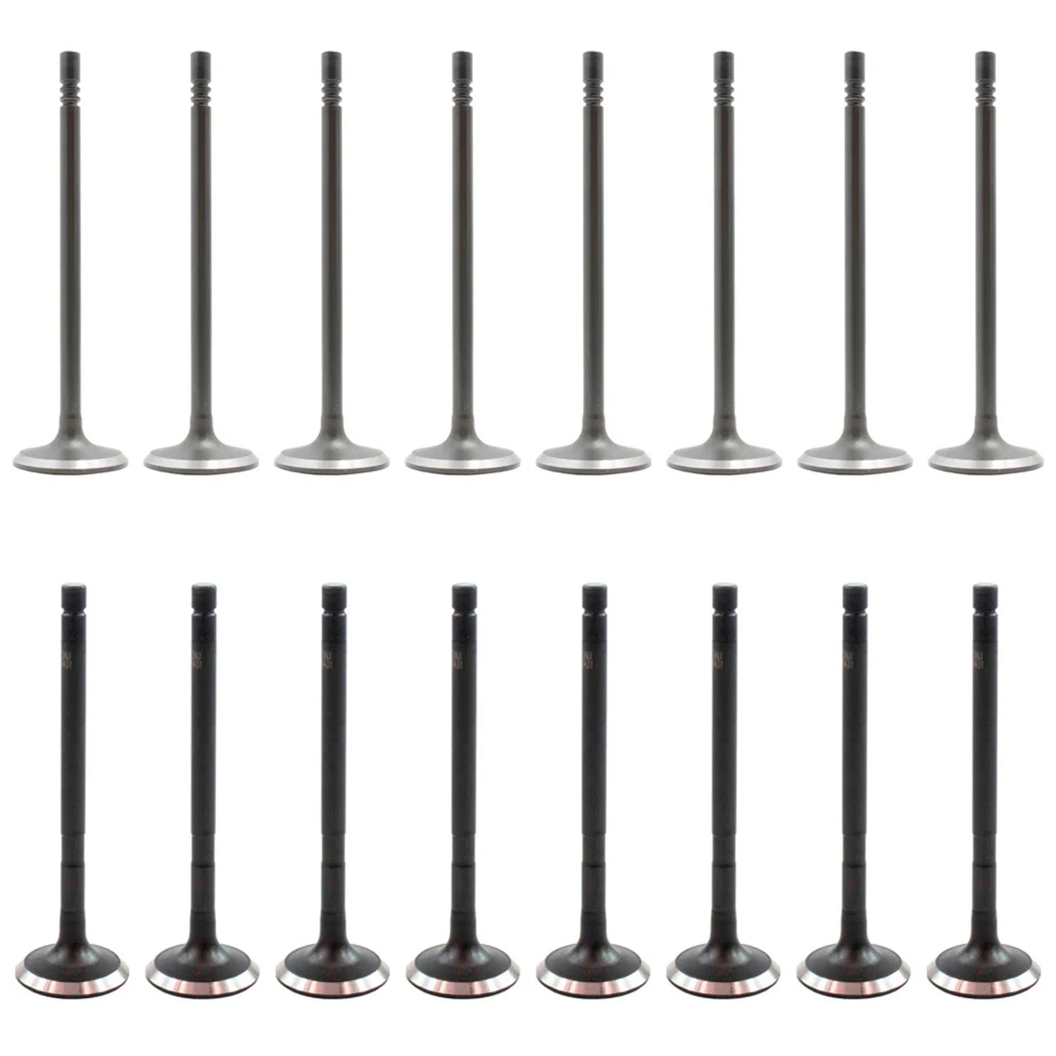 Set of 16 Intake & Exhaust Valves Kit for Ford Escape, Escort, Focus, Tribute (L4)