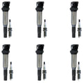 Set of 6 Ignition Coils & NGK Platinum Spark Plugs for BMW E90 E91 E60 E83 Z4