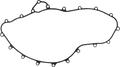 Complete Gasket Kit for Polaris C3826 (Year Not Specified)