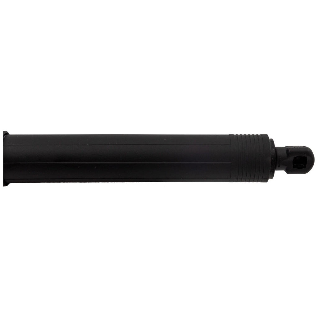 Liftgate Lift Supports Set of 2 for Chevy Equinox