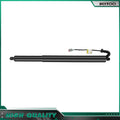 Gas Struts for Ford Edge (2015–2018) - Liftgate Lift Supports