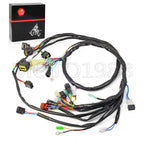 Main Electrical Wiring Harness for Yamaha Raptor 660 YFM660R (2002–2004)