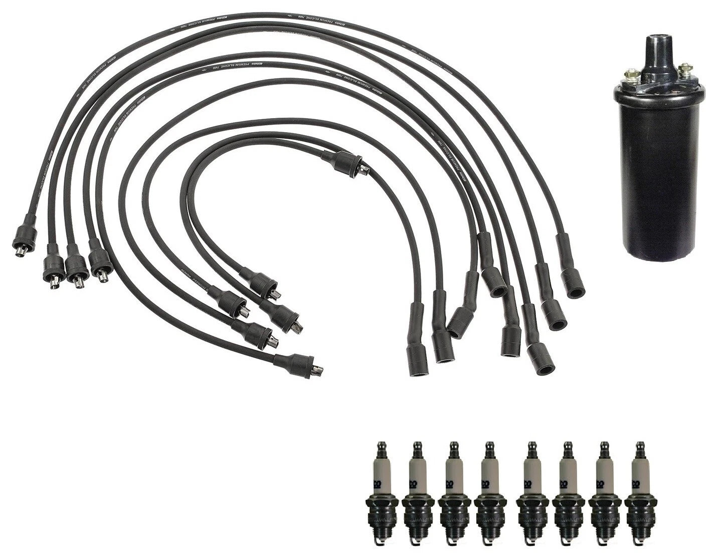 Ignition Wires & Spark Plugs Kit for Pontiac Executive, Chevy V8 (1 Coil, 8 Plugs)
