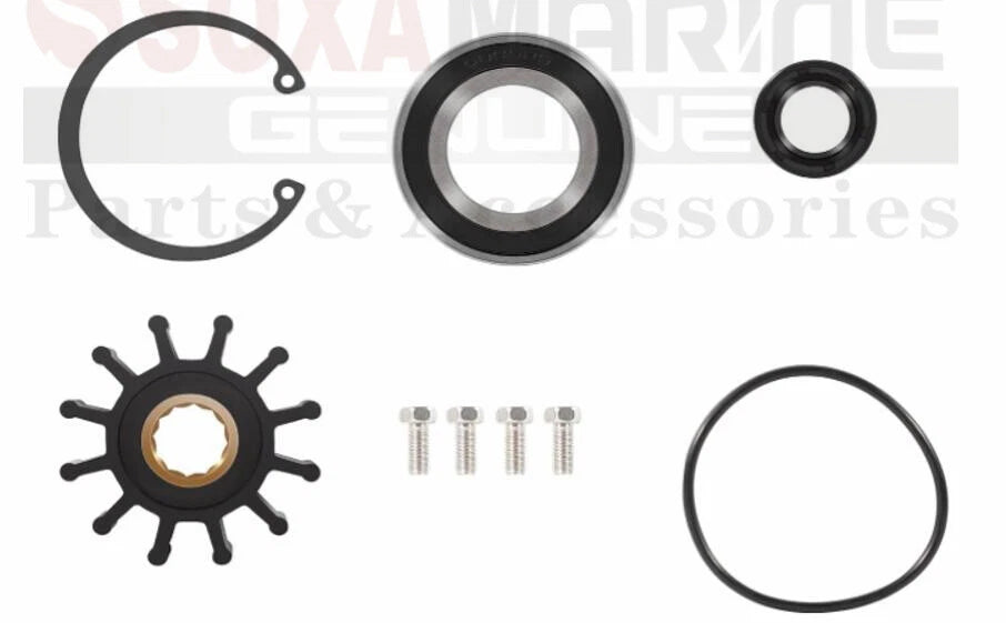Raw Sea Water Pump Repair Kit for Volvo Penta Gas Sterndrive (1999–2005)