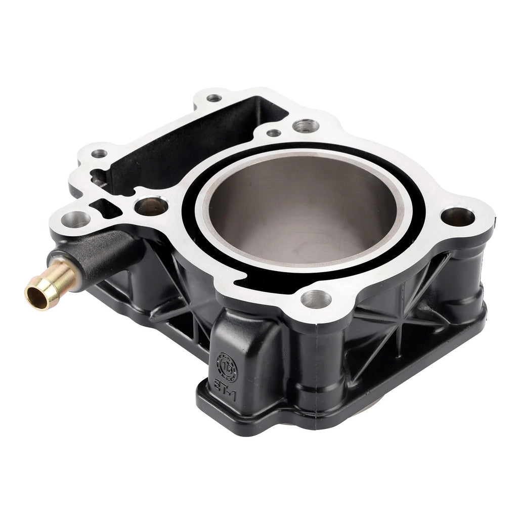 Complete Cylinder Barrel Piston Kit 250cc for Bajaj Pulsar NS RS AS (2013–2023)