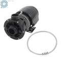 1.5HP Pool Pump for SPL (Thermally Protected, 3450RPM, 60Hz)