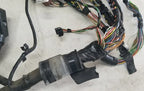 Engine Bay Management Harness with Fuses for Jaguar XJR (2002) LNG3350GB