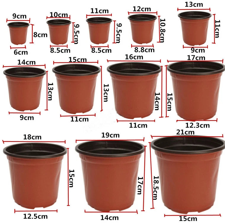 Set of 100 Plastic Flower Pots for Home Garden