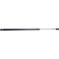 Trunk Lid Lift Support for Jeep Liberty (2008–2009)