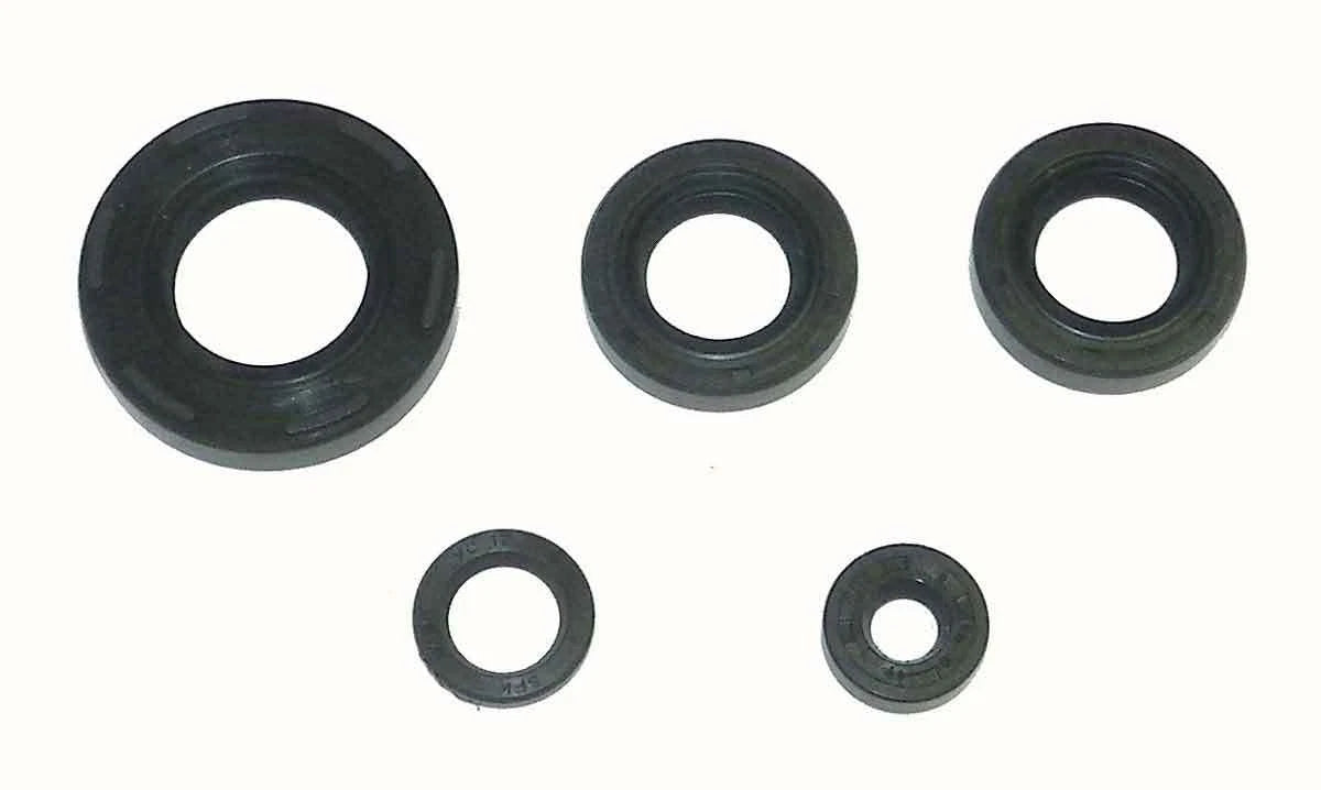 Crankshaft Seal Kit for Kawasaki KFX 50 (2002–2006)