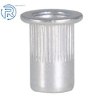 Pack of 100 M6 Rivet Nuts for Automotive Applications