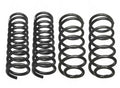 Coil Spring Kit for Ford Mustang Base Ghia GL (With AC) (2015–2023)