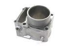 OEM Engine Cylinder for Kawasaki KLX300 (2024) 11005-0723