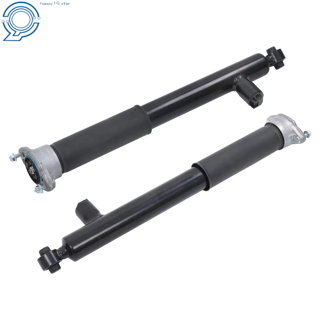 2X Rear Shock Absorbers for Mercedes Benz C-Class (2012–2015)