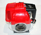 Huasheng 139F 39CC 4-Stroke OHV Engine for Mower ESKY Scooter Buggy (N/A)