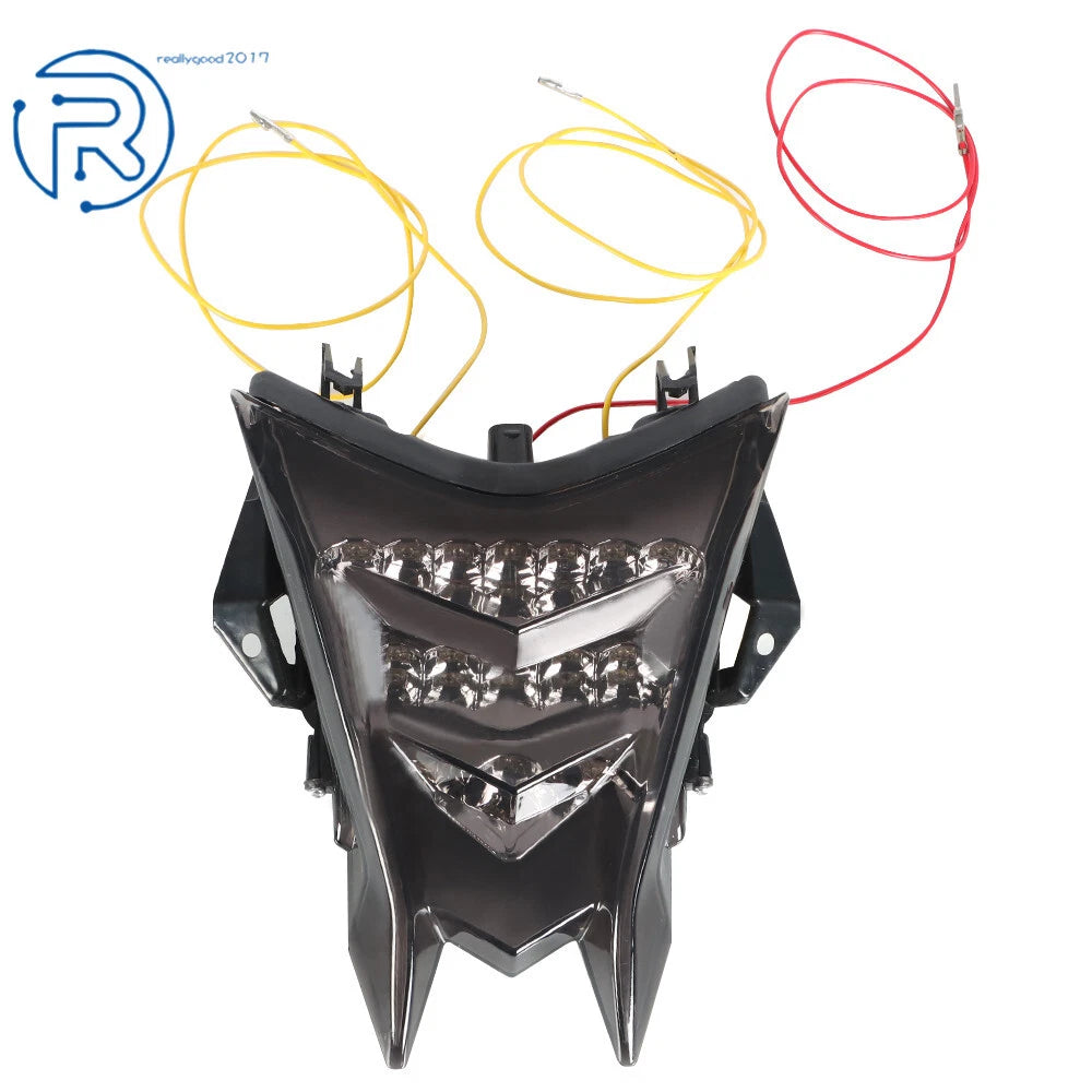 LED Tail Light Turn Signals for BMW S1000RR (2010-2018)