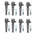Set of 8 Ignition Coils & NGK Spark Plugs for Ford E-150 E-250 F-150 (1997–2003)