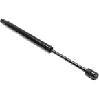 Lift Support Set for Ford Thunderbird (2002–2005)