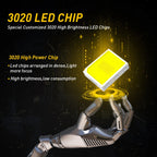 31MM LED Interior Dome Light Bulb for Toyota Camry, Corolla, Tacoma