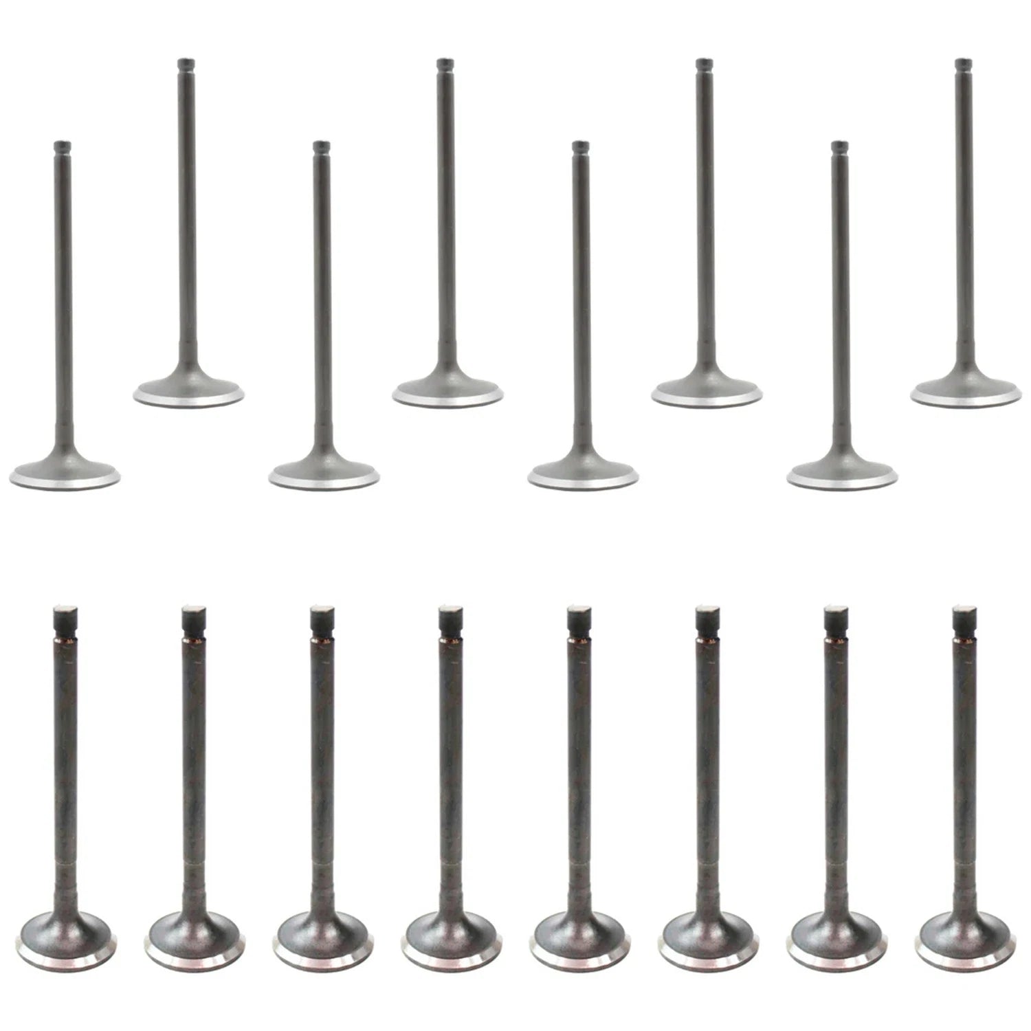 Set of 16 Intake & Exhaust Valves Kit for Camry Corolla Highlander RAV4 L4