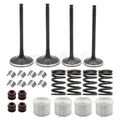 Intake Exhaust Valves 12911-29F00-00 for Suzuki LTZ400 (2003–2014)