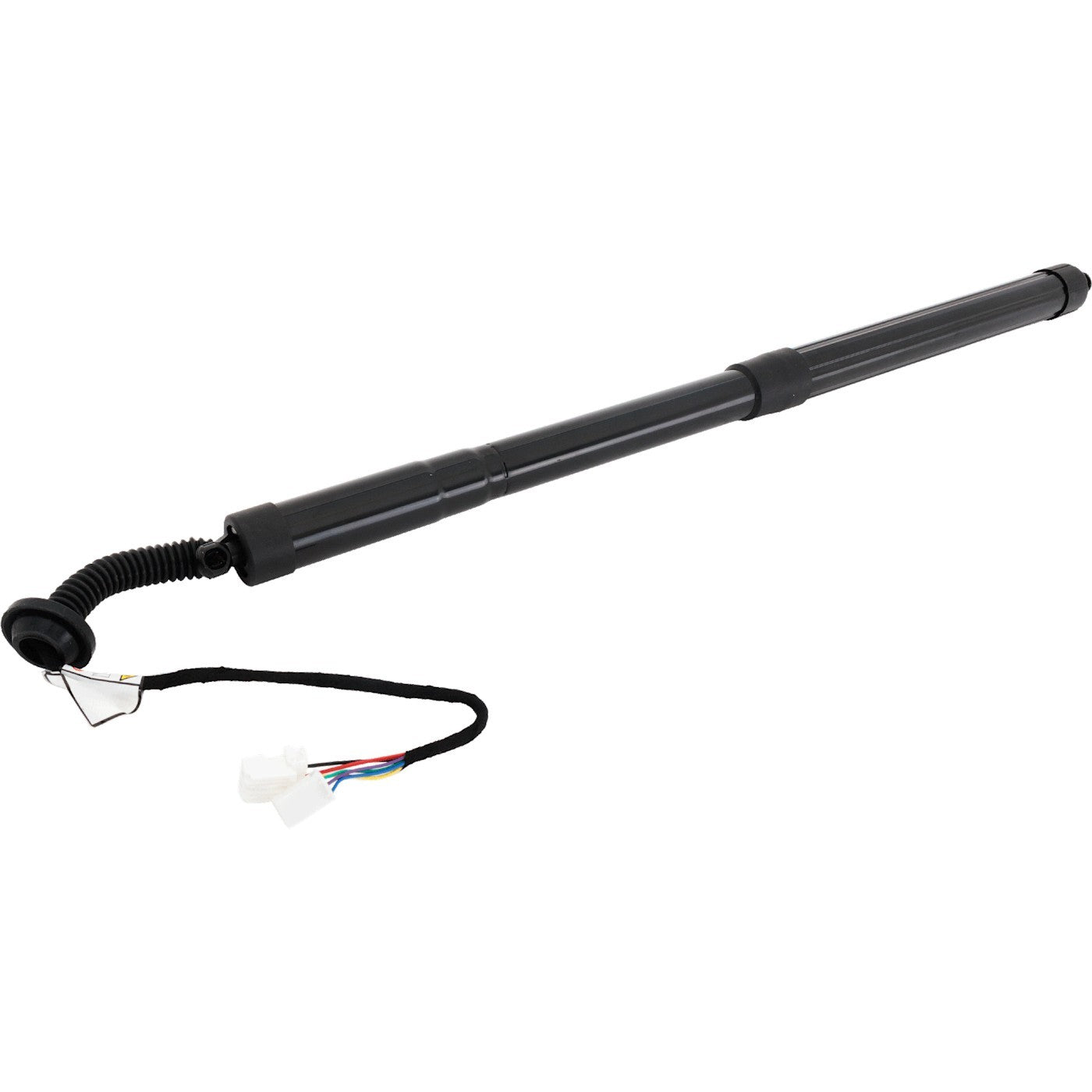 Liftgate Lift Supports for Honda Pilot (2019–2022)