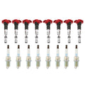Set of 8 Ignition Coils & NGK Platinum Spark Plugs for Touareg A8 Quattro (2004–2010)