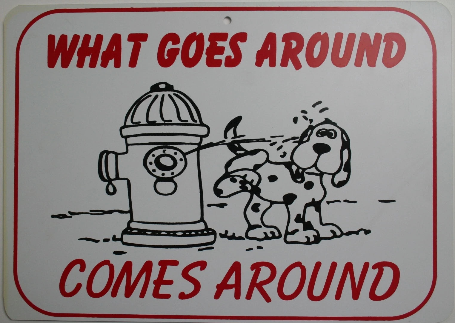 Funny Man Cave Sign - What Goes Around Comes Around (Plastic)