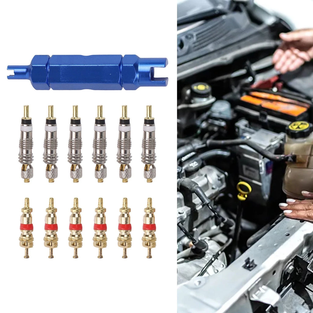 Valve Core Tool Kit for Mountain Bike and Motorcycle Maintenance