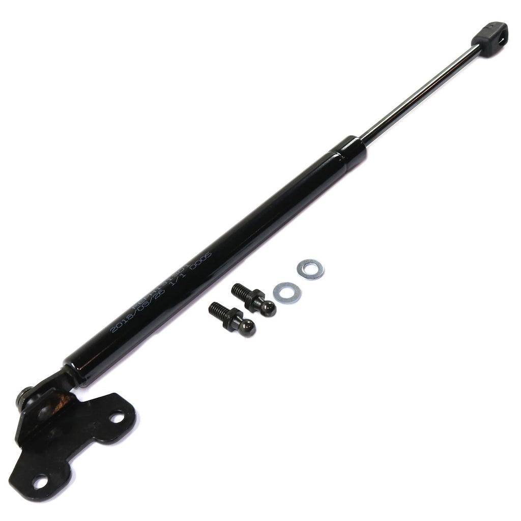 Hood Lift Supports Set of 2 for Honda Accord