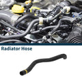 Lower Radiator Hose for Toyota Camry (2018) No. 165730V040